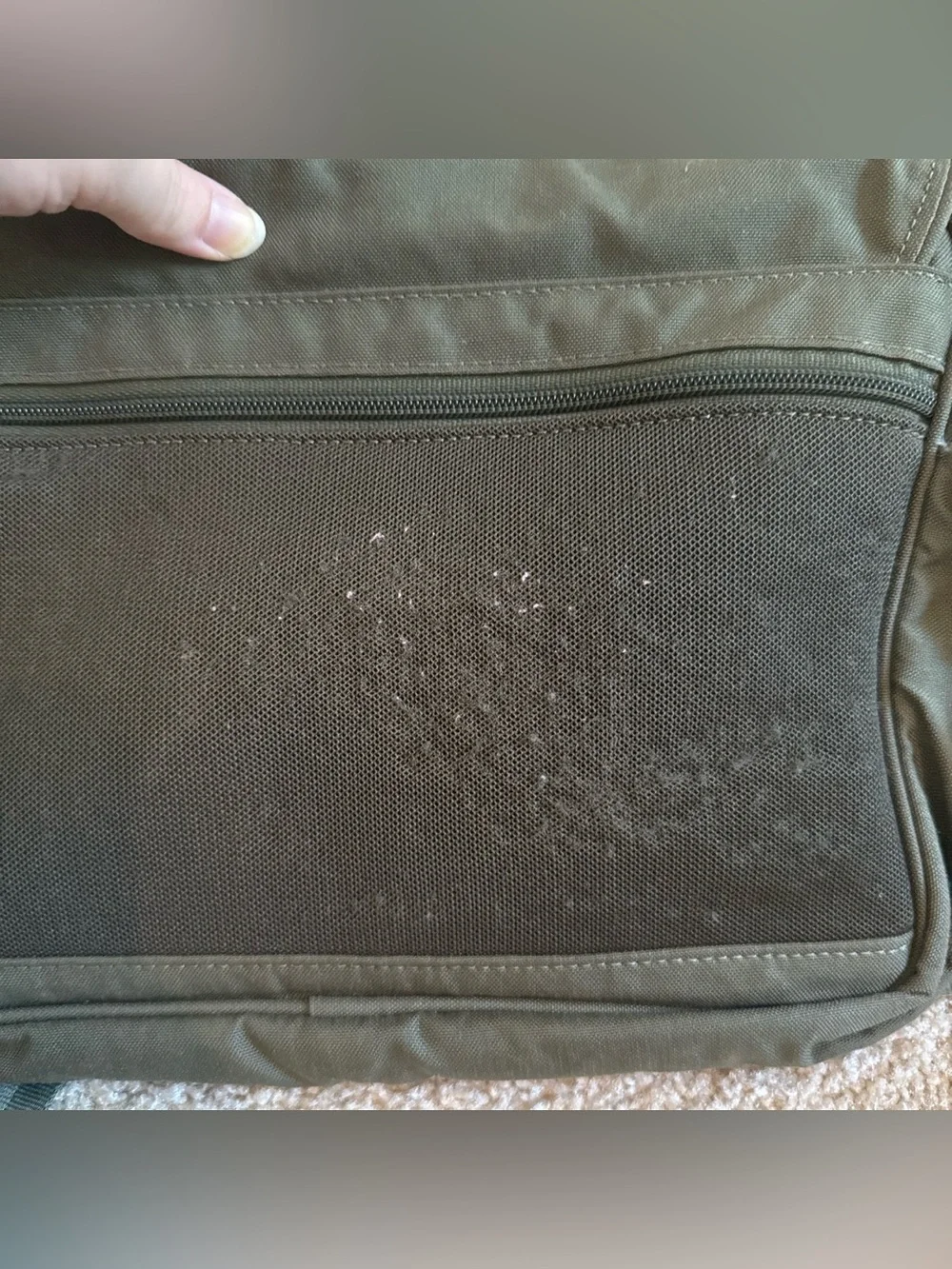 REI Co-op Women’s Green Crossbody Messenger Bag